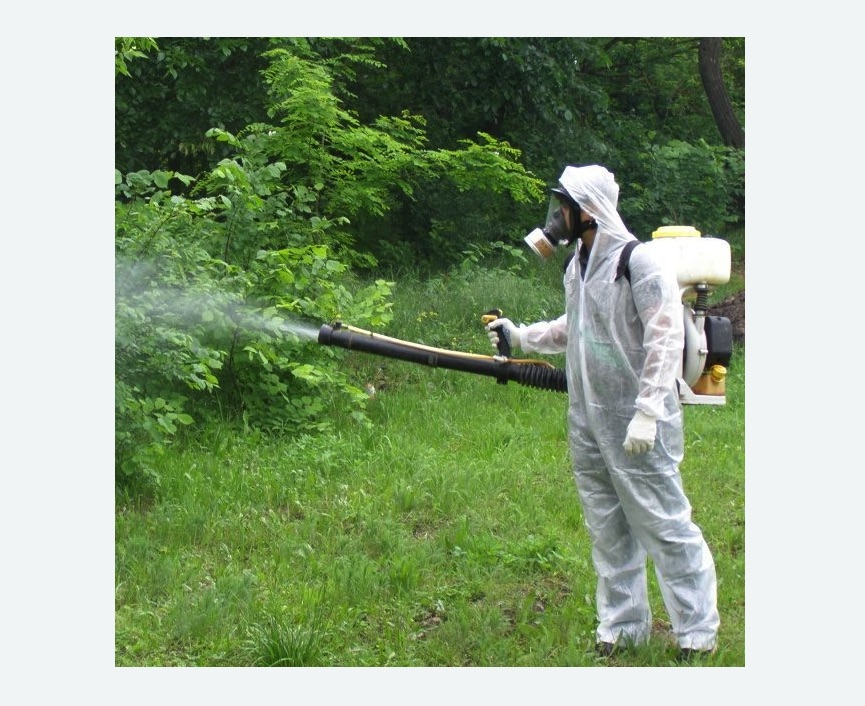 обработка территории от клещей в Кузьминках города Москвы