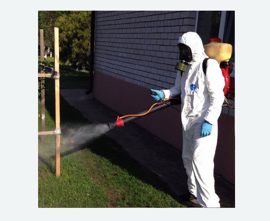 травля клещей на участке в Кузьминках города Москвы