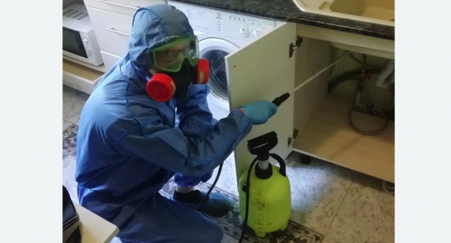 Уничтожение муравьев в квартире. Кузьминки