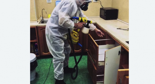 Дезинсекция квартиры. Кузьминки