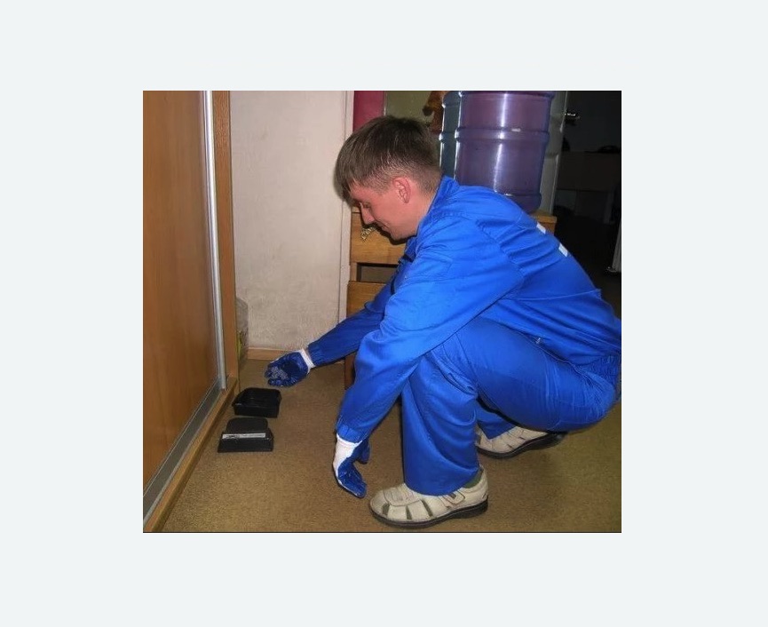 Дератизация крыс в Кузьминках города Москвы