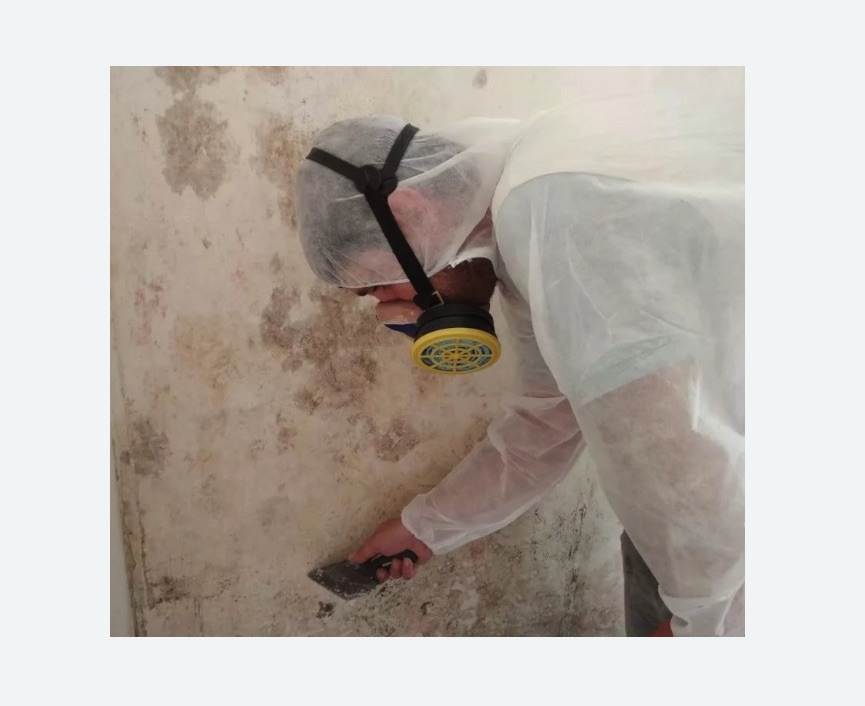 Обработка стен от плесени Обработка стен от плесени в Кузьминках города Москвы