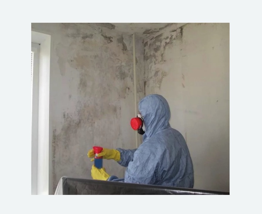 Удаление плесени в квартире Удаление плесени в квартире в Кузьминках города Москвы