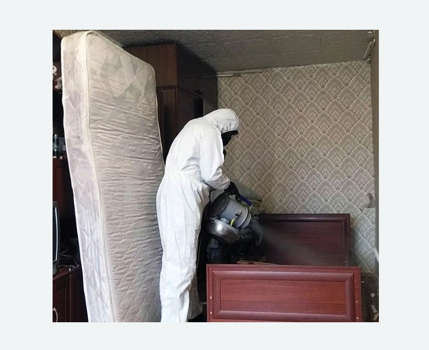 дезинфекция от клопов в Кузьминках города Москвы