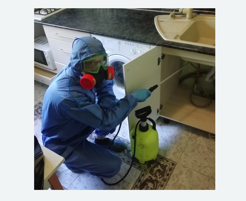 обработка от муравьев в квартире обработка от муравьев в квартире в Кузьминках города Москвы