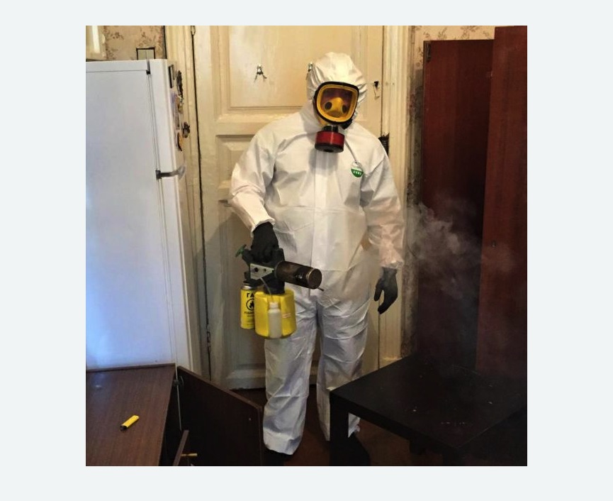 уничтожение муравьев в квартире уничтожение муравьев в квартире в Кузьминках города Москвы